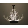 KA1800 Lucite Antlers