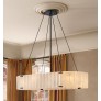IQ8301 WILLAMETTE  CHANDELIER