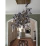 AM8850 EDEN CROWN