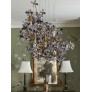 AM8850 EDEN CROWN