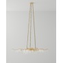 DV5089 Forest Light
