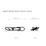 AM2224 FUTURE ORACLE