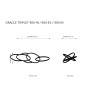 AM2224 FUTURE ORACLE