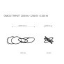 AM2224 FUTURE ORACLE
