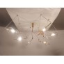 JR2039 TRAPEZI