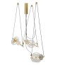 JR2039 TRAPEZI