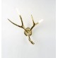 JT215 ANTLERS